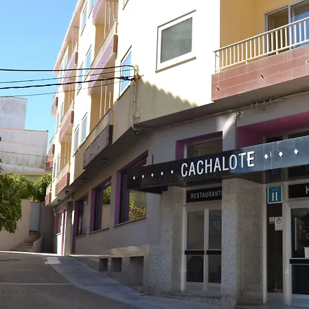 Hotel Nuevo Cachalote 2*