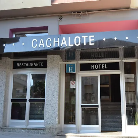 Nuevo Cachalote 2*