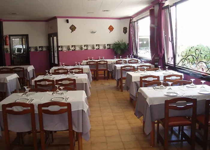Nuevo Cachalote Hotel