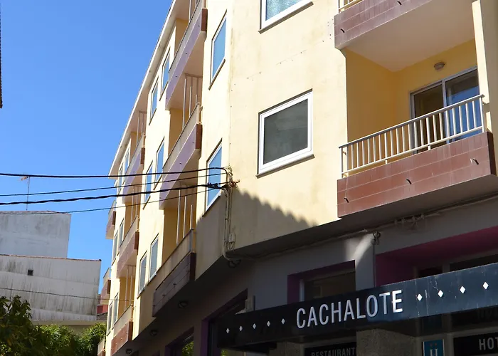Nuevo Cachalote 2* Portonovo