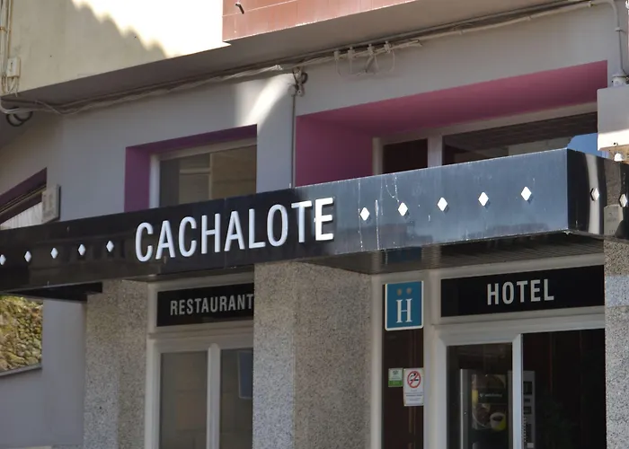 Nuevo Cachalote 2* Portonovo